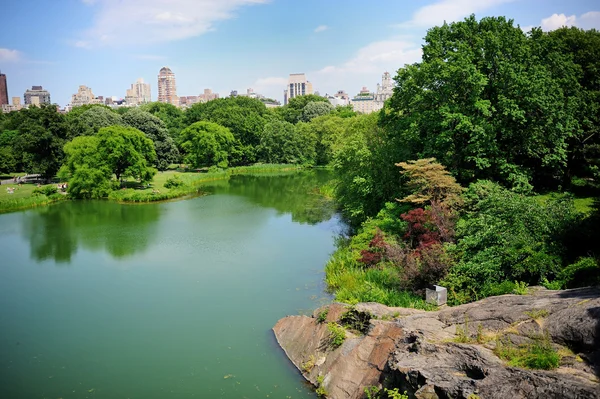 Пруд в Центральном парке Нью-Йорка летом — стоковое фото