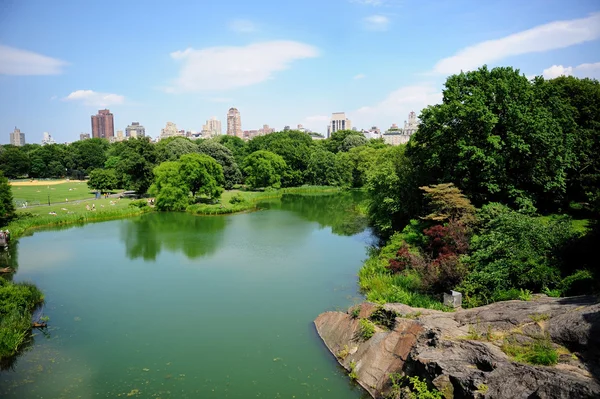 Ein Teich im New Yorker Central Park im Sommer — Stockfoto