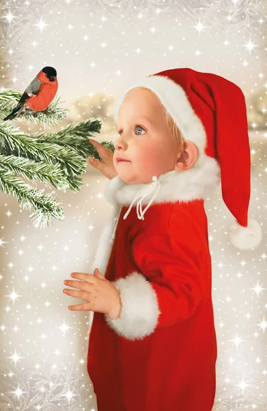 Bebek Noel Baba ve şakrak kuşu — Stok fotoğraf
