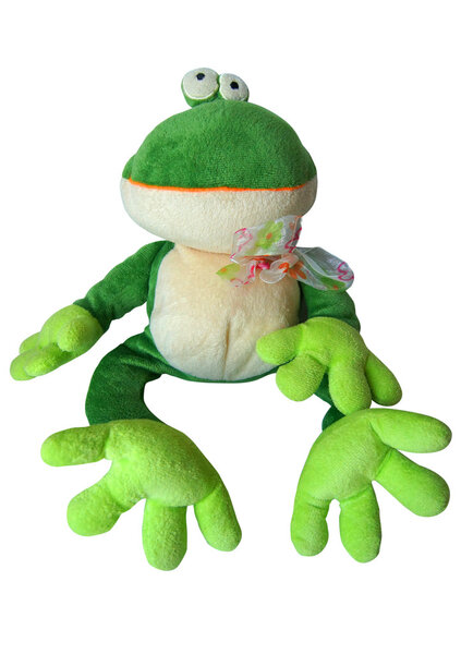 Toy green frog isolated