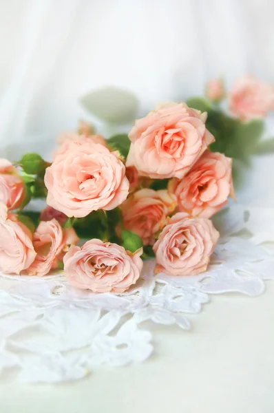 Beautiful roses on a white background — Stock Photo, Image