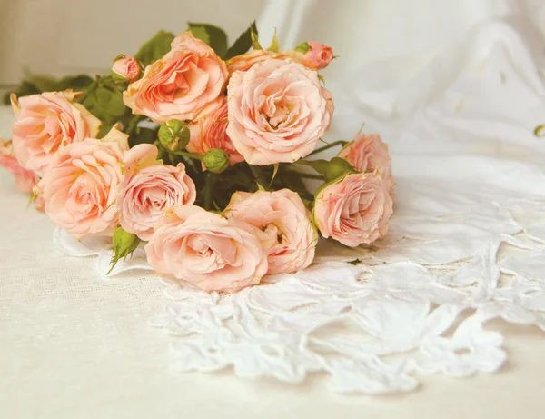 白い背景の美しいバラ — ストック写真