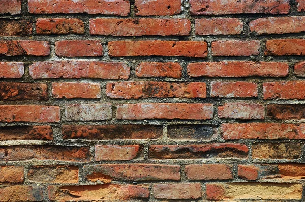 Фон на текстуре каменной стены — стоковое фото
