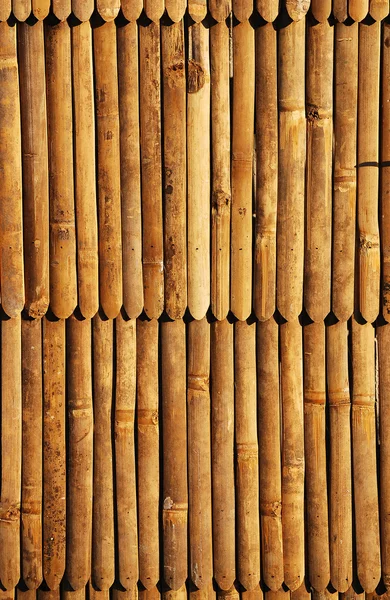 Stock image Bamboo background