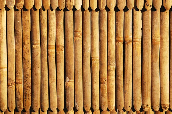 Bambusové pozadí — Stock fotografie