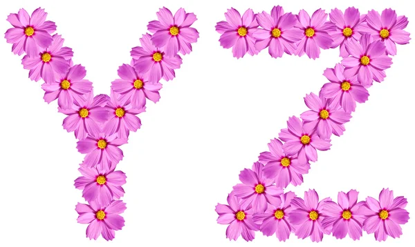 Alphabet flowers — Stock Photo, Image