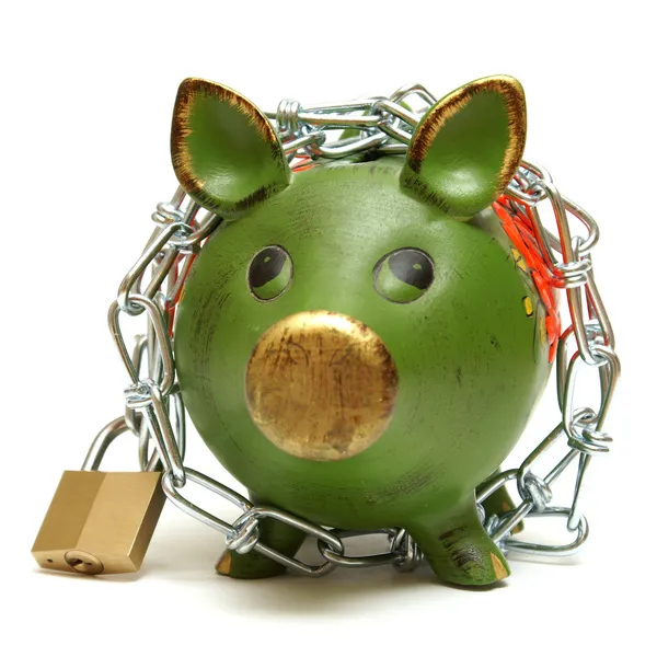 Protect Your Money — Stock Photo, Image