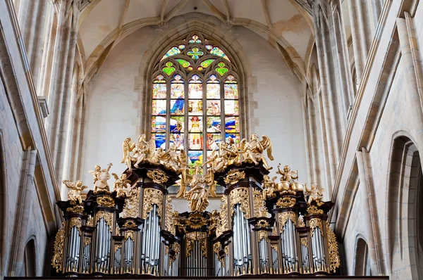 Interieur kathedraal — Stockfoto