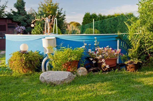 Pool i en trädgård — Stockfoto