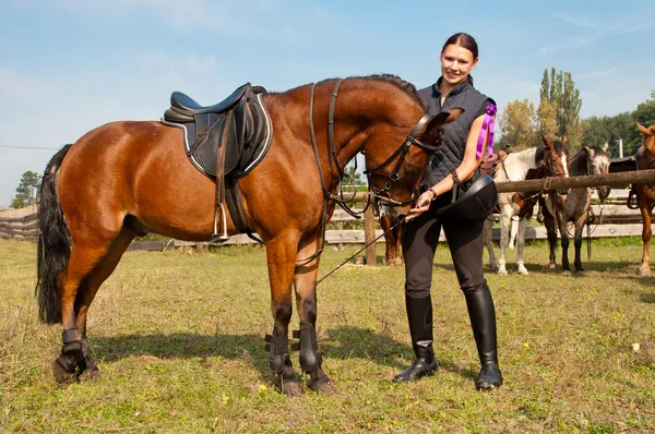 Άλογο και equestrienne — Φωτογραφία Αρχείου