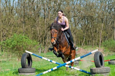 Binicilik - horse jumping