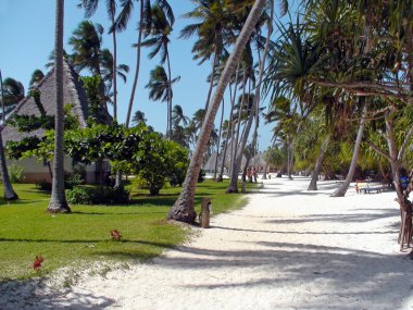 zanzibar Beach resort