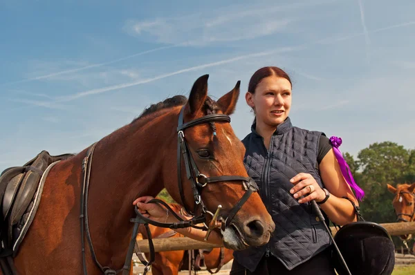 Paard en equestrienne — Stockfoto
