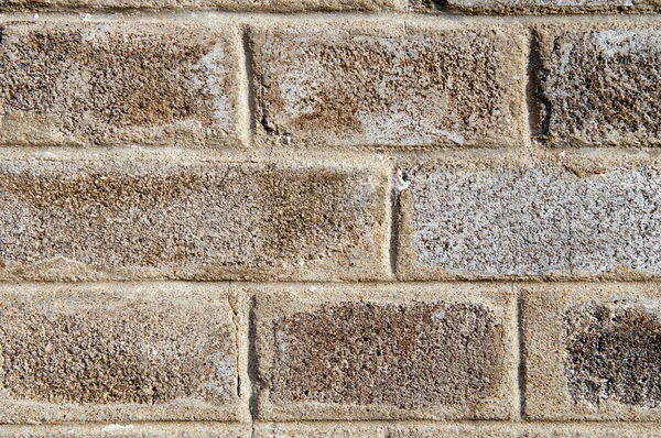 stock image Old Brick Wall