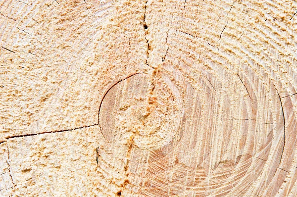 Деревянные круги — стоковое фото