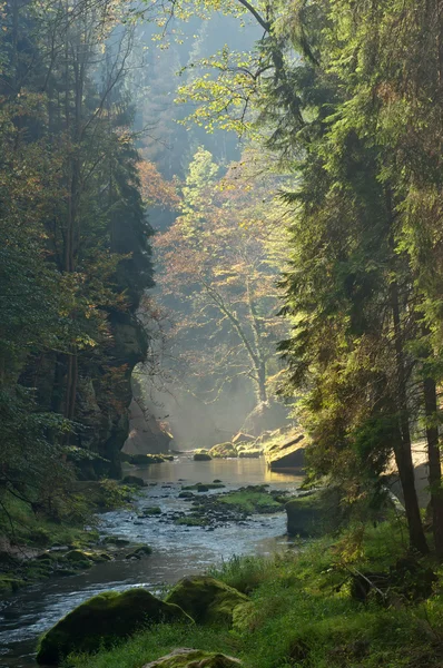 River and Sunbeams — Stock Photo, Image