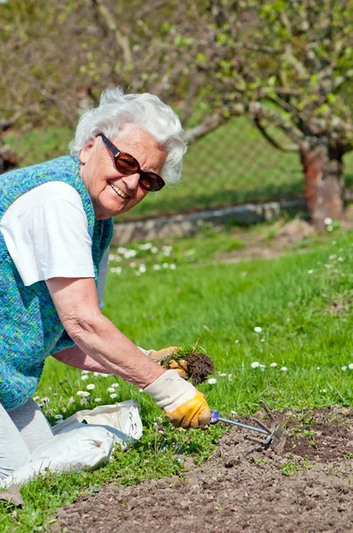 Starsza kobieta w ogrodzie — Zdjęcie stockowe