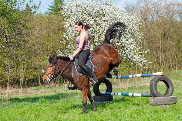 Equestrian - Horse Jumping — Stock Photo, Image