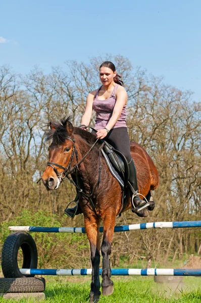 Ridsport - häst hoppning — Stockfoto