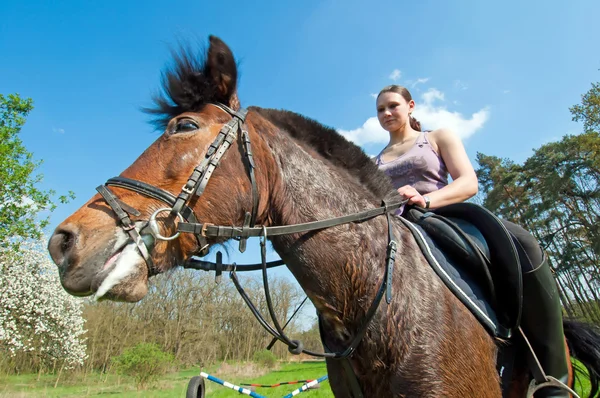 Ridsport - häst hoppning — Stockfoto