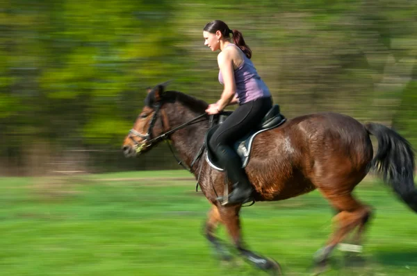 Horse Riding — Stock Photo, Image