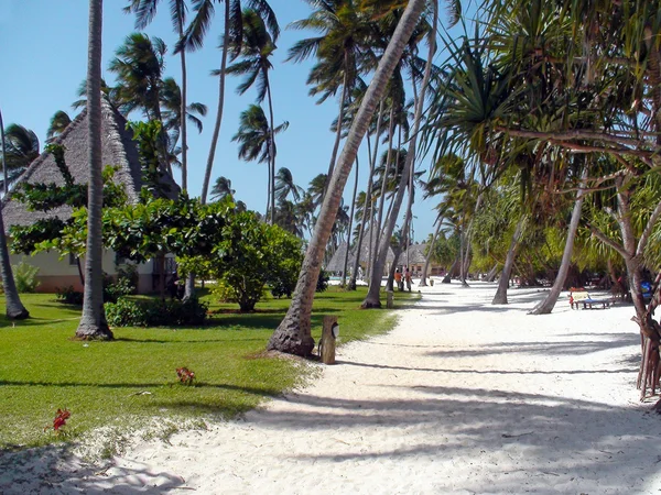 Beach resort Zanzibar — Stock Fotó