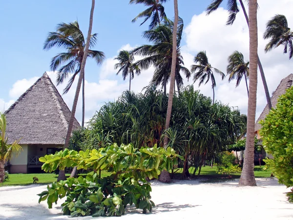 Beach Resort a Zanzibar — Foto Stock