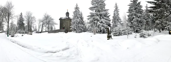 Panorama des Winterwunderlandes — Stockfoto