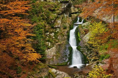 Autumn Waterfall clipart