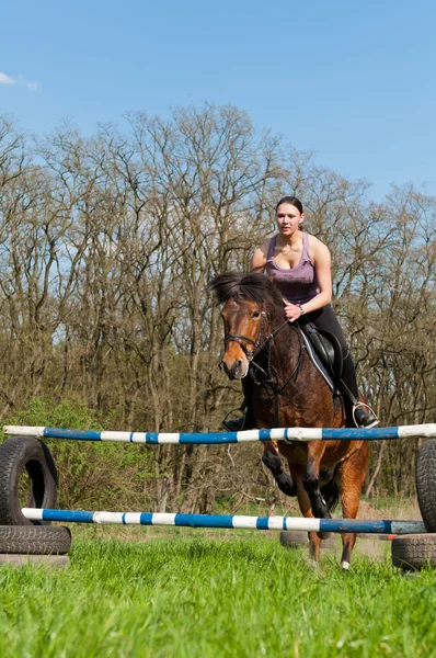 Equestre - Salto de cavalo — Fotografia de Stock