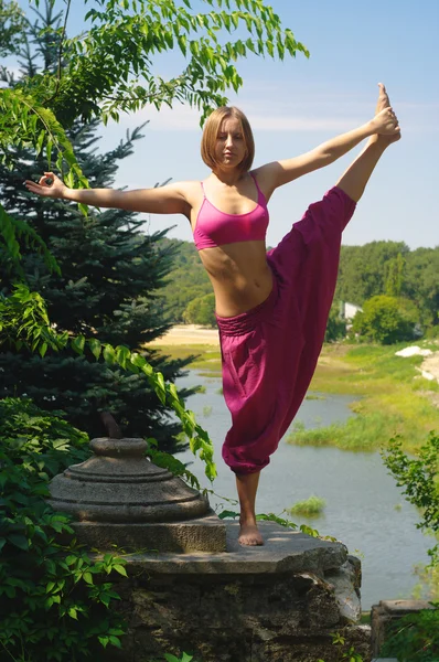 La ragazza è impegnata in yoga sulla natura Immagini Stock Royalty Free