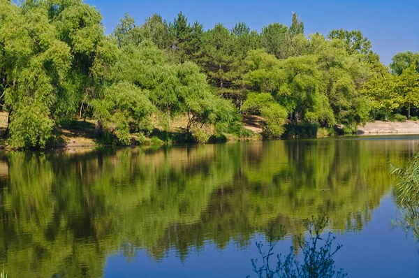 stock image Summer lake