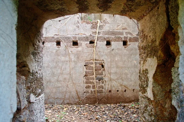 stock image An old fortress in the jungle