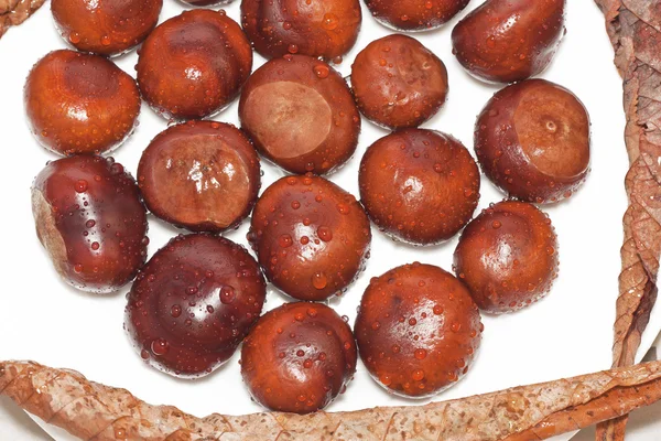 फोडलेल्या पानांसह पांढरा डिशवर ओले शरद ऋतूतील chestnuts — स्टॉक फोटो, इमेज