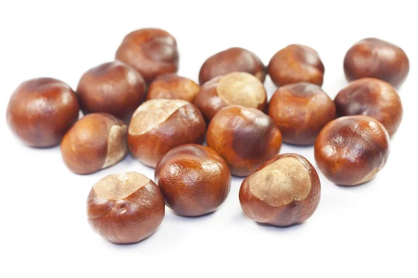 Many beautiful shiny brown chestnuts — Stock Photo, Image