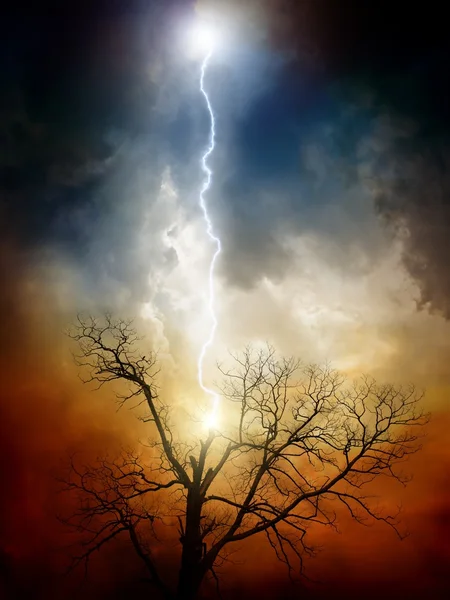 Древо, пораженное молнией — стоковое фото