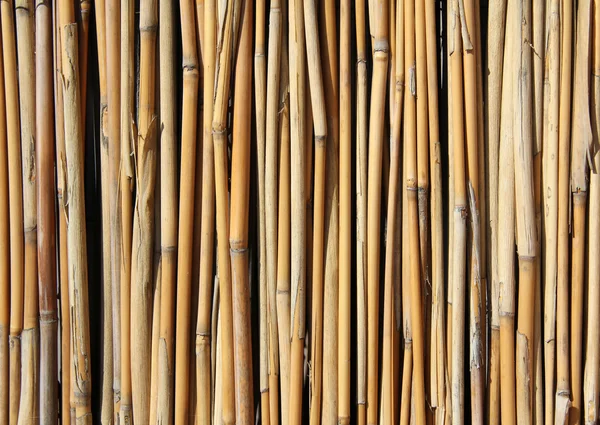 Бамбуковый набор — стоковое фото