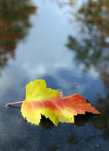 Símbolo de outono — Fotografia de Stock