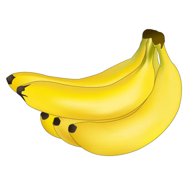 Bananes — Image vectorielle