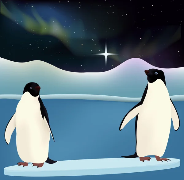 Pinguine — Stockvektor
