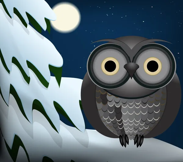 Owl sitting at night on snowed tree — Stock Vector
