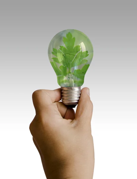 Light bulb with a plant inside — Stock Photo, Image