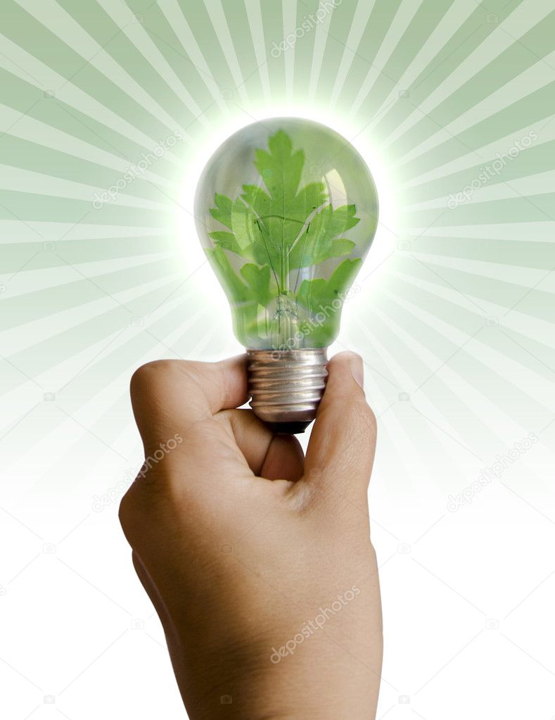 Light bulb with a plant inside