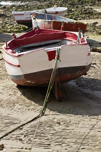 stock image Boat