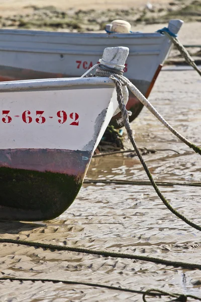 stock image Boat