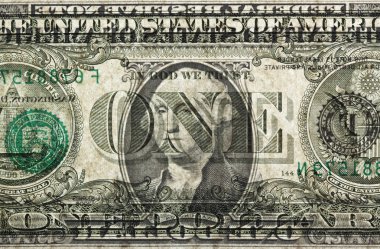 bir u.s.dollar