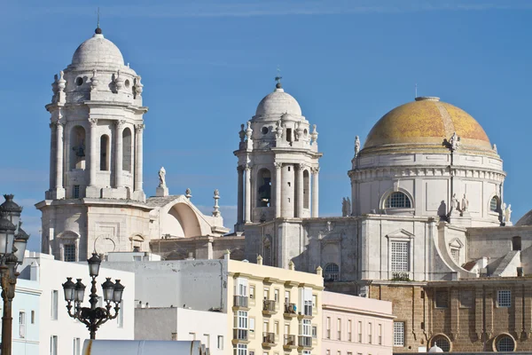 Katedralen i Cadiz - Stock-foto