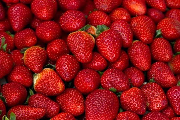 Stock image Strawberries