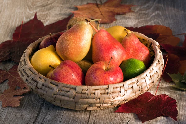 stock image Fruits