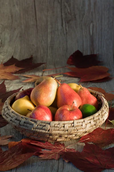 stock image Fruits